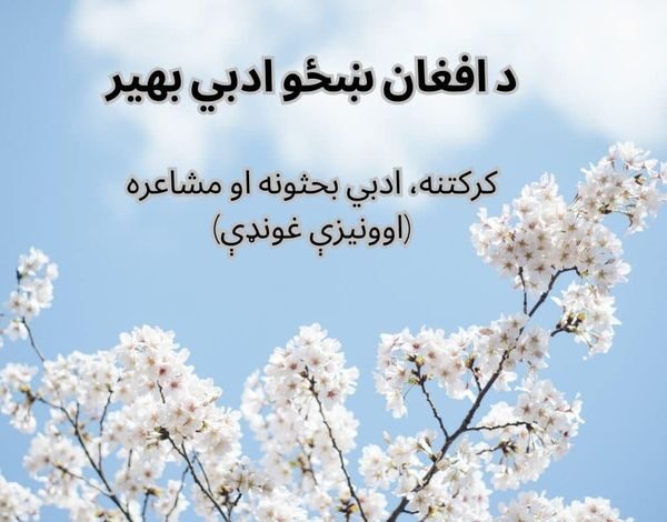 د افغان ښځو انلاین بهیر ادبي غونډه وکړه