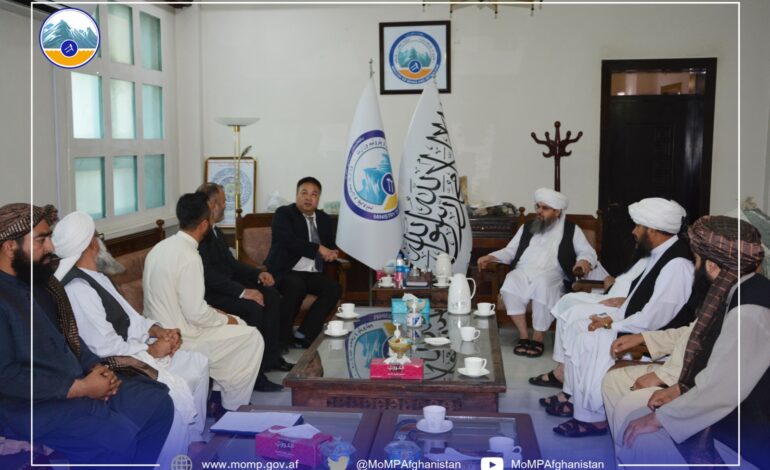 کانونو وزارت هرات کې د شیدا مسو کېندنه پیلوي