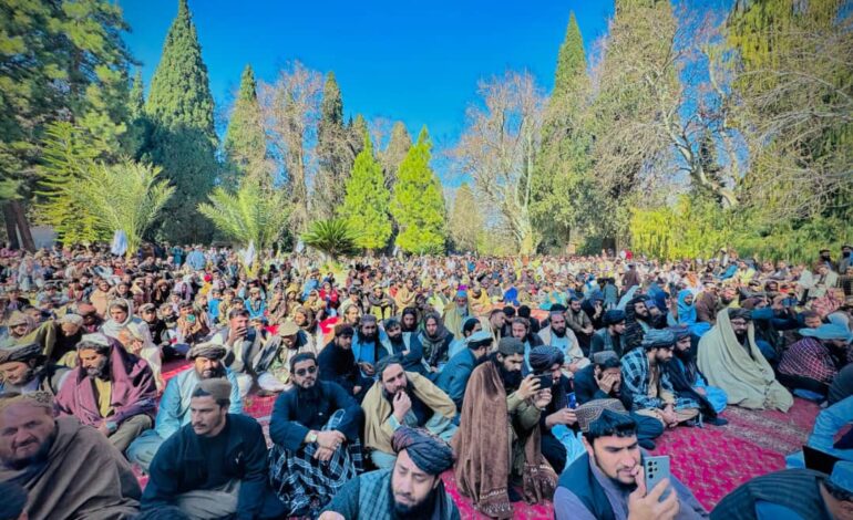 په ننګرهار کې د نرګس ګل دوديزه مشاعره ترسره شوه