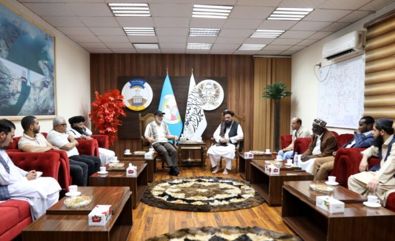 د اوبو او انرژۍ وزارت سرپرست د بېلابېلو اسیايي او افریقايي پانګوالو له مشر سره لیده کاته کړي