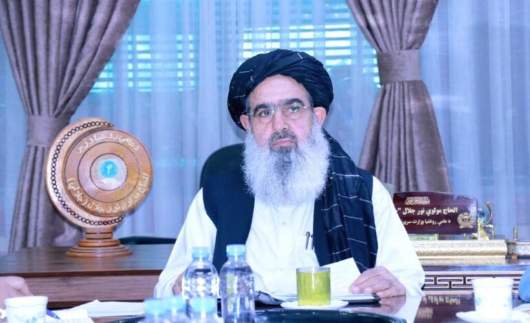 د عامې روغتیا وزیر د عربي ټاپو وزمې د هېوادونو د روغتیا وزیرانو سره لیده کاته کړي