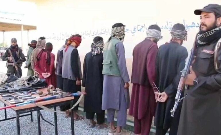 لوګر کې د غلو نهه کسیزه ډله نیول شوې ده