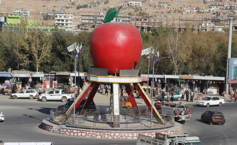 میدان وردګ کې د ټرافیکي پېښې له امله ۴ کسانو ته مرګ ژوبله اوښتې ده